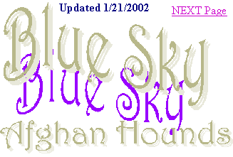 Blue Sky Afghan Hounds breeder Cherie Budka Website title  Blue Sky Afghan Hounds Title