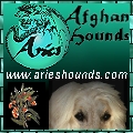 aries afghan hounds graphic link to archived website
