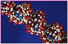 photo of model of molecule of DNA