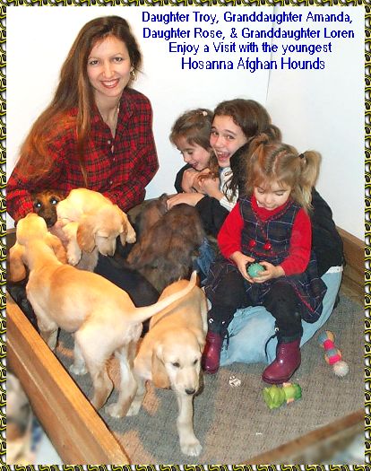 Beautiful photos of 9 week old Afghan Hound puppies and KIDS
