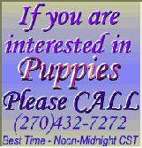 If you are interested in puppies, please call (270)432-7272 noon till midnight CST - custom gif graphic by AAAWWW