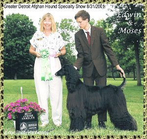 Edwin Farley wins AKC Best Junior Handler in Specialty - dog show at Afghan Hound Club of Greater Detroit, with Afghan Hound Hosanna Song of Moses - photo judge Shelley Hennessee judge