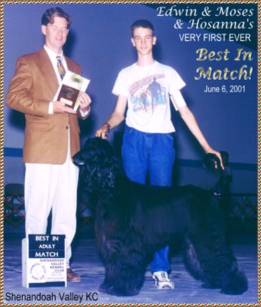 Edwin wins Best In Match (Adult) at Shennandoah Valley Kennel Club with Hosanna Song of Moses, and Afghan Hound - AKC dog show picture