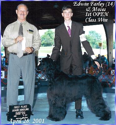 Edwin Farley wins his first AKC Junior Handling Open Senior class with Afghan Hound Hosanna Song of Moses - photo dog show