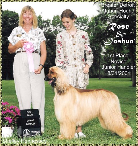 Rose wins 1st Place Novice Junior Handler at Greater Detroit Afghan Hound Club Specialty - AKC dog show photo - Rose Farley with Hosanna Hell Trembles 'Joshua' Afghan Hound