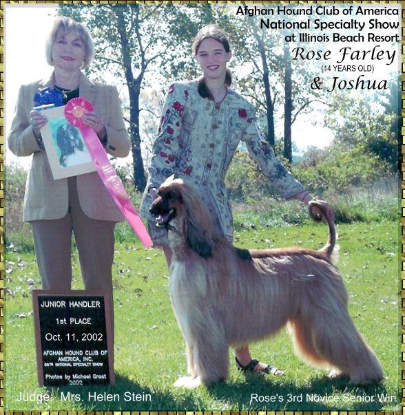 Edwin and Major in Sweepstakes 12-15 month Puppy Class at Afghan Hound Club of America National Specialty Show 2001, Houston, TX AKC dog shows