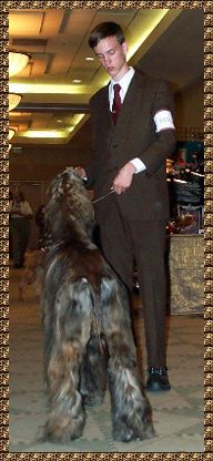 Edwin practices with Hosanna Man of War, Major, Afghan Hound Club of America National Specialty Show 2001 AKC dog shows