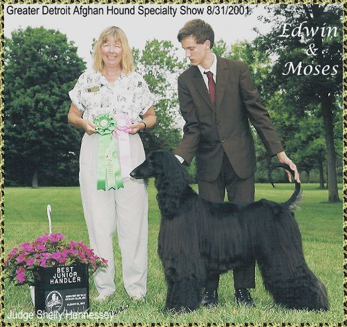 Edwin Farley wins Best Junior Handler in Specialty - AKC dog show at Afghan Hound Club of Greater Detroit, with Afghan Hound Hosanna Song of Moses - photo judge Shelley Hennessee