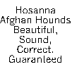 Business Card with contact info and email link for Hosanna Afghan Hounds  - graphic art design by AAAWWW Afghans Afghans Afghans World Wide Web Design