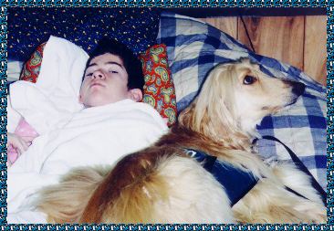 Davey snuggles in bed with a young handicapped boy - AKC registered Afghan Hound therapy and service dog - photo