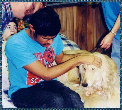 Davey gives comfort to an autistic boy - David Sings Hosanna AKC registered certified therapy dog and service dog photo