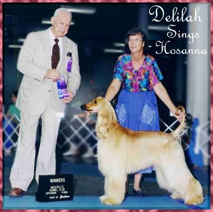 Delilah Sings Hosanna wins AKC Championship point at Nashville Kennel Club, TN, AKC dog show