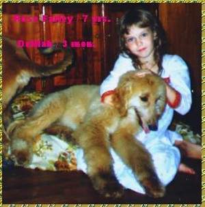 CUTE photo of an AKC Afghan Hound puppy, and a girl