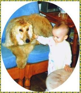 TOO cute photo of afghan hound puppy and a baby