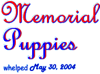 Precious Puppies - custom gif graphic by AAA World Wide Web Design