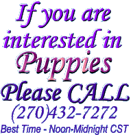 graphic If you are interested in puppies, please call (270)432-7272 noon till midnight CST - custom gif graphic by AAAWWW