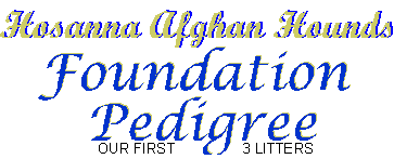 Title Hosanna Afghan Hounds - graphic designed by AAAWWW Afghans Afghans Afghans World Wide Web Design  Title - Foundation Pedigree for Hosanna Afghan Hounds - graphic designed by AAAWWW Afghans Afghans Afghans World Wide Web Design 