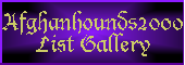link to Afghan Hounds 2000 Email List Gallery - Loads of links to Afghan Hound breeder's sites full of photos - another beautiful Website designed by AAA World Wide Web Design AAAWWW
