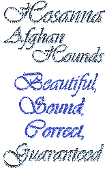 Hosanna Afghan Hounds - Beautiful, Sound, Correct, Guaranteed - custom gif graphic by AAAWWW