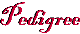 Pedigree - word art graphic design by AAAWWW Afghans Afghans Afghans World Wide Web Design