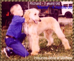 cute picture of child with AFGHAN HOUND puppy dog AKC
