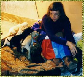 Photo of three week old Afghan Hound puppies Sire Samson Sings Hosanna Dam See'rs Night Witch AKC registered AFGHAN HOUND DOGS