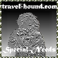 Link to Travelhound website designed by AAA World Wide Web Design - travel agancy specializing in special needs - dogs, pets, handicapped, children