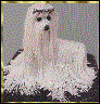 link to Corba Originals, photos of beautiful handcrafted canine art work including paintings and sculptures, also photos of AKC registered Champion Cobra Afghan Hounds - art graphic design by AAAWWW Afghans Afghans Afghans World Wide Web Design