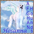 Link to our own Hosanna Afghan Hounds Website.  This was our very first site, has MANY pages and photos and pedigrees of BEAUTIFUL AKC registered Afghan Hounds - art graphic design by AAAWWW Afghans Afghans Afghans World Wide Web Design