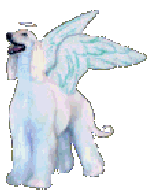 gif animation of white Afangel - Afghan Hound with wings and halo - art graphic design by AAAWWW Afghans Afghans Afghans World Wide Web Design