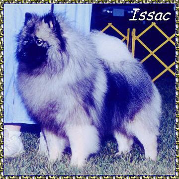 Issac Ch KeePlay's Defying Gravity keeshond photo picture photos pictures KeePlay kees keeshond AKC reg show dogs PyrPlay pyrs Great Pyrenees SHOW DOGS website www.hosanna1.com AAAWWW afghans afghans afghans web design