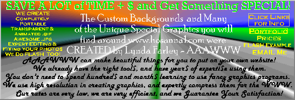 custom graphics design gif ad for graphics design by AAA World Wide Web Design