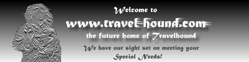 Travelhounds three afghan hounds - logo - custom graphic by AAAWWW